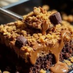 Peanut Butter Chocolate Brownie Bars 2 Peanut Butter Chocolate Brownie Bars