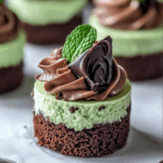 Mini Mint Chocolate Cheesecakes
