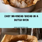 The Easiest Bread in the Entire World Recipe