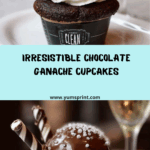 Decadent Chocolate Cupcakes with Whipped Cream & Ganache Recipe