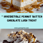 Creamy Peanut Butter Chocolate Lush Delight Recipe