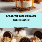 Mini Caramel Cheesecakes Recipe
