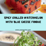 "Swicy" Grilled Watermelon Steak with Blue Cheese Fondue Recipe