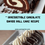 Chocolate Swiss Roll Cake Recipe