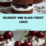 Mini Black Forest Cakes Recipe