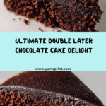 Best double Layer Chocolate Cake recipe