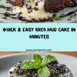 Oreo Mug Cake Recipe