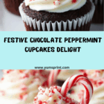 Chocolate Peppermint Cupcakes Recipe