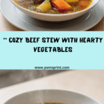 Beef Stew with Sauce and Vegetables Recipe
