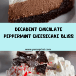 Chocolate Peppermint Cheesecake Recipe