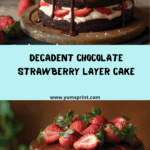 Chocolate Layer Cake with Caramel & Strawberries Recipe
