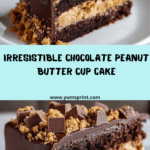 Chocolate Peanut Butter Cup Cake Delight Recipe