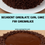 Irresistible Chocolate Curl Cake Recipe