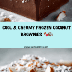 Frozen Coconut Brownies Recipe