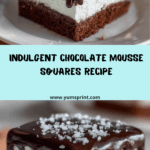 Chocolate Mousse Square Recipe