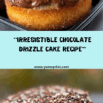 Chocolate Drizzle Delight Cake Recipe