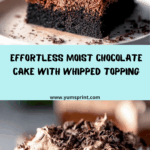 Light & Moist Chocolate Cake Recipe