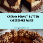Peanut Butter Cheesecake Recipe