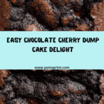 Chocolate Dump Cake Recipe