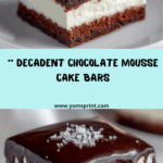 Chocolate Mousse Square Recipe