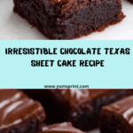 Decadent Chocolate Texas Sheet Cake Recipe