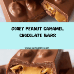 Gooey Peanut Caramel Chocolate Bar Recipe