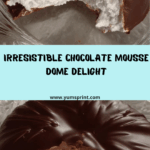 Luscious Chocolate Mousse Dome Recipe