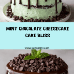 Mint Chocolate Cheesecake Cake Recipe