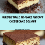 No-Bake Biscoff Cheesecake Recipe