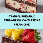 Pineapple Strawberry Chocolate Ice Cream Cake Recipe