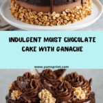 Decadent & Moist Chocolate Cake Recipe
