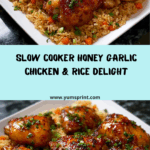 Slow Cooker Honey Garlic Chicken & Rice Recipe