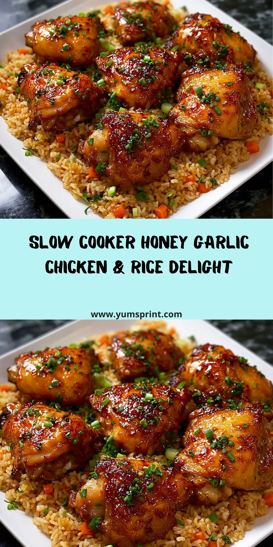 Home » Recipes » Dinner » Slow Cooker Honey Garlic Chicken & Rice Recipe