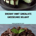 Mint Chocolate Cheesecake Recipe