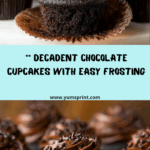Chocolate Cupcake Recipe : Recipe