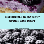 Blackberry Sponge Cake Recipe
