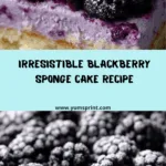 Blackberry Sponge Cake Recipe