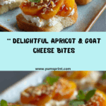 Apricot Goat Cheese Appetizers Recipe