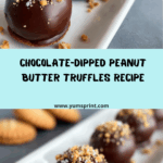 Chocolate-Dipped Peanut Butter Truffles Recipe