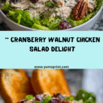 Cranberry Walnut Chicken Salad Recipe