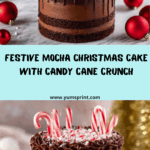 Mocha Christmas Cake Recipe