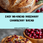 No-Knead Rosemary Cranberry Bread with Olive Oil & Sea Salt Recipe