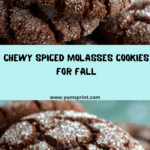Molasses Cookies Recipe
