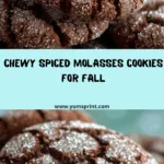 Molasses Cookies Recipe