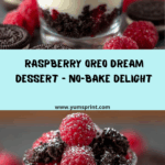 Raspberry Oreo Dessert Recipe