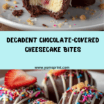 Chocolate Covered Cheesecake Bites Recipe