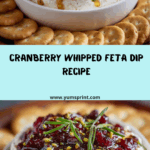 Cranberry Whipped Feta Dip Recipe