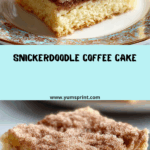Snickerdoodle Coffee Cake Recipe