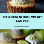 Heavenly No-Bake Mini Key Lime Pies Recipe