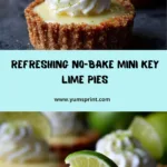 Heavenly No-Bake Mini Key Lime Pies Recipe